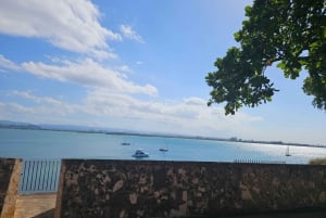 Puerto Rico: coastal & old san juan 1 day tour