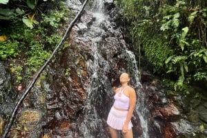 Toboganes Acuáticos y Paseo en Cuerda por el Bosque de El Yunque