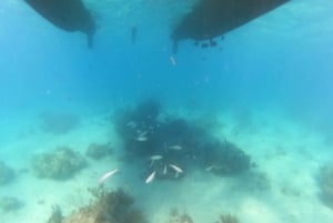 Fajardo: wycieczka katamaranem na wyspę Icacos, nurkowanie z rurką i lunch
