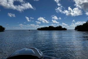 Salinas: Caribbean Sea Cays Guided Jet Ski Tour