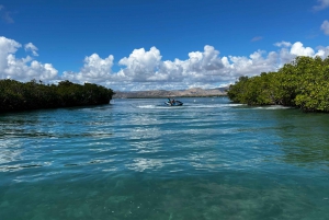 Salinas: Caribbean Sea Cays Guided Jet Ski Tour