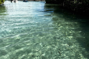 Salinas: Caribbean Sea Cays Guided Jet Ski Tour