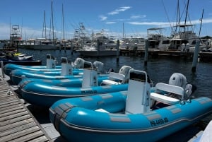 Salinas: South Coast Sea Cays Mini Boat Cruise