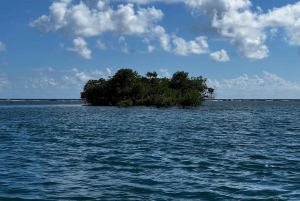 Salinas: South Coast Sea Cays Mini Boat Cruise