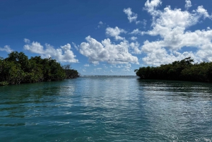 Salinas: South Coast Sea Cays Mini Boat Cruise
