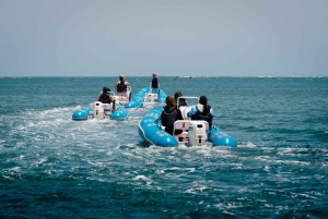 Salinas: South Coast Sea Cays Mini Boat Cruise