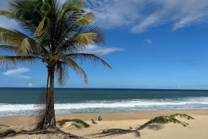 San Juan - Arecibo: midwest expedition waterfalls and beach