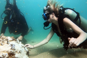 San Juan: Beginner Scuba Diving Tour with Turtles