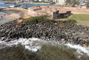San Juan: Nybörjartur i dykning med sköldpaddor och videor
