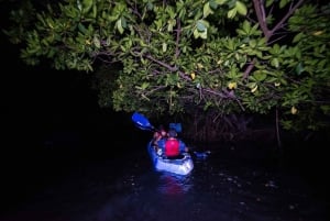 San Juan : Aventure nocturne en kayak dans la baie bioluminescente