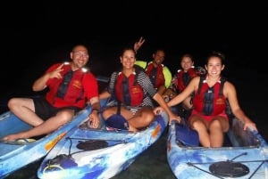 San Juan: Bioluminescent Glass-Bottom Kayak Tour by Night