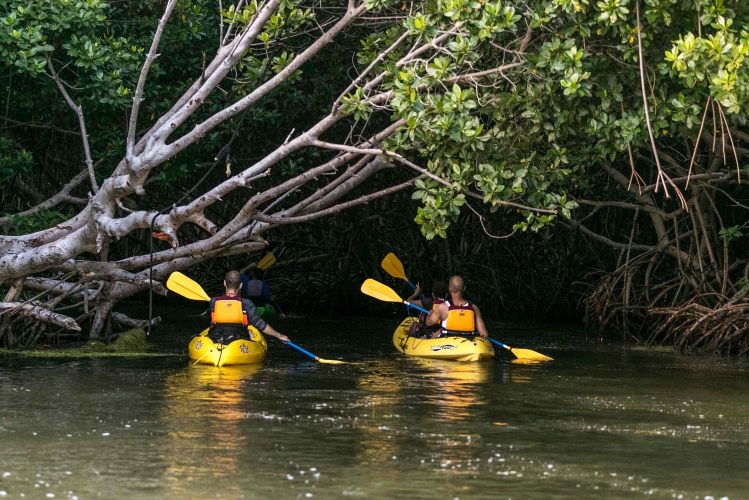 San Juan: Nattkajakpaddling i den bioluminescerande Laguna Grande-bukten