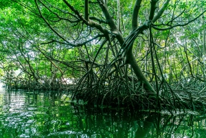 San Juan: Nattkajakpaddling i den bioluminescerande Laguna Grande-bukten