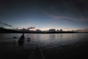 San Juan: Nattkajakpaddling i den bioluminescerande Laguna Grande-bukten