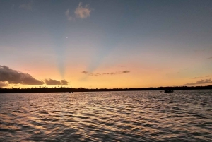 San Juan: Nattkajakpaddling i den bioluminescerande Laguna Grande-bukten