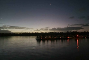 San Juan: Nattkajakpaddling i den bioluminescerande Laguna Grande-bukten