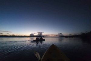 San Juan: Nattkajakpaddling i den bioluminescerande Laguna Grande-bukten