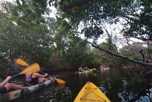 San Juan: Nattkajakpaddling i den bioluminescerande Laguna Grande-bukten