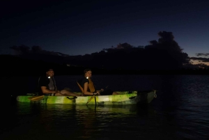 San Juan: Nattkajakpaddling i den bioluminescerande Laguna Grande-bukten