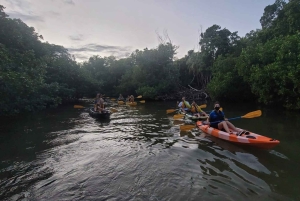 San Juan: Nattkajakpaddling i den bioluminescerande Laguna Grande-bukten
