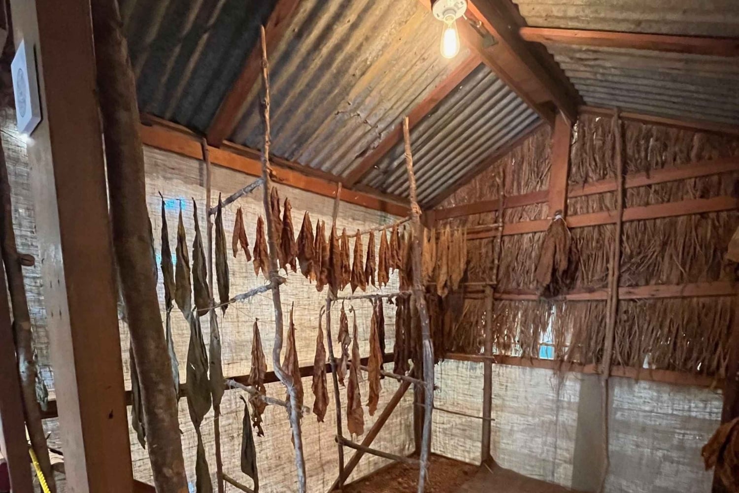 San Juan: Viagem de 1 dia a Caguas, Guavate, Ponce, Rincon e Isabela