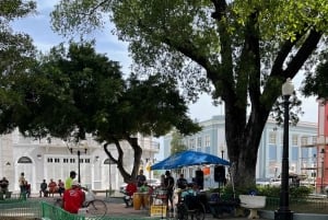 San Juan: Viagem de 1 dia a Caguas, Guavate, Ponce, Rincon e Isabela