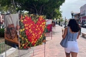 San Juan: Viagem de 1 dia a Caguas, Guavate, Ponce, Rincon e Isabela