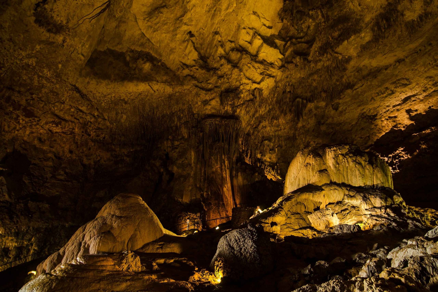 San Juan: Camuy Caves Experience Tour mit Abholung und Rücktransfer