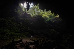 San Juan: Tour dell'esperienza delle grotte di Camuy con servizio di prelievo e rientro