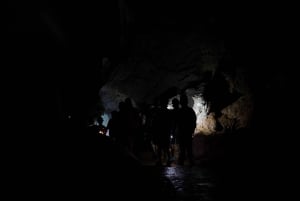 San Juan: Excursión a las Cuevas de Camuy con servicio de recogida y regreso