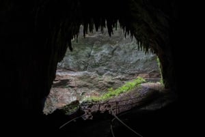 San Juan: Camuy Caves Experience Tour ja nouto & pudotus