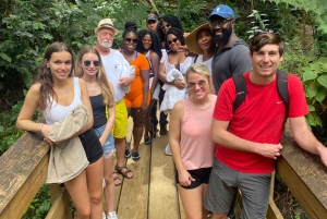 El Yunque National RainForest: Tour with Nature walk