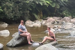 San Juan/Carolina: El Yunque National Forest Trip with Hike