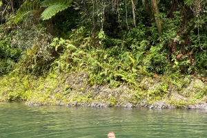 El Yunque National RainForest: Tour with Nature walk