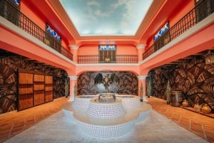 San Juan: Casa Bacardi Distillery Tour