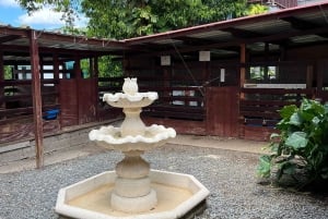 Сан-Хуан : Экскурсия по музею и магазину кофе Сиалес