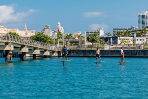 San Juan : Découvrez la magie de l'aventure eFoil !