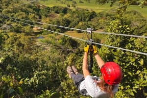 San Juan: Ecoadventure Ziplining in der Nähe der Stadt
