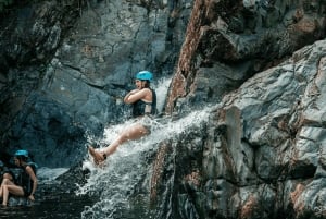 San Juan: El Yunque and Bio Bay Full-Day Tour with Transport