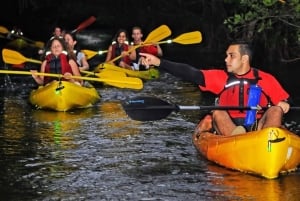 San Juan: El Yunque and Bio Bay Full-Day Tour with Transport
