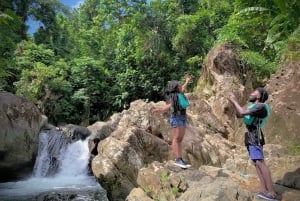 San Juan: El Yunque and Bio Bay Full-Day Tour with Transport