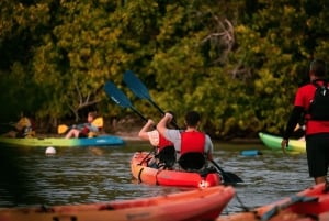 San Juan: El Yunque and Bio Bay Full-Day Tour with Transport