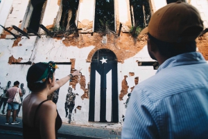San Juan: El Yunque and Scenic Puerto Rico Instagram Tour