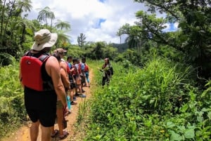 San Juan: El Yunque Rainforest and Bio Bay Combo Tour