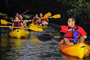 San Juan: El Yunque Rainforest and Bio Bay Combo Tour