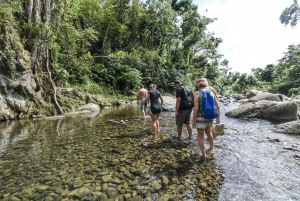 San Juan: El Yunque Rainforest & Bio Bay Kayak Combo Tour