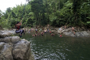 San Juan: El Yunque Rainforest & Bio Bay Kayak Combo Tour