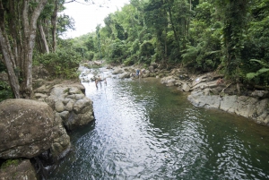 San Juan: El Yunque Rainforest & Bio Bay Kayak Combo Tour