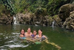 San Juan: El Yunque Rainforest Day Trip (Max group of 6)