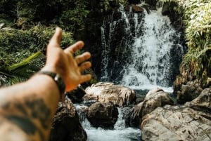 San Juan: Guidet vandretur i El Yunque-regnskoven med svømning